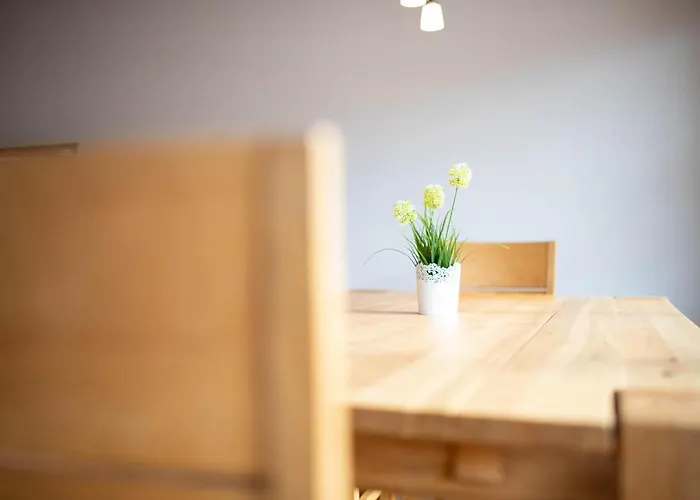 Werdenfels 公寓 加爾米施-帕滕基興